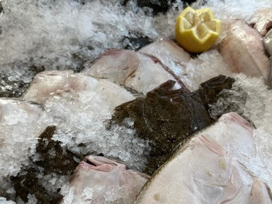 vandaag 4 augustus: PROMO TARBOT + WOENSDAG 5 augustus WILDE SOCKEYE ZALM